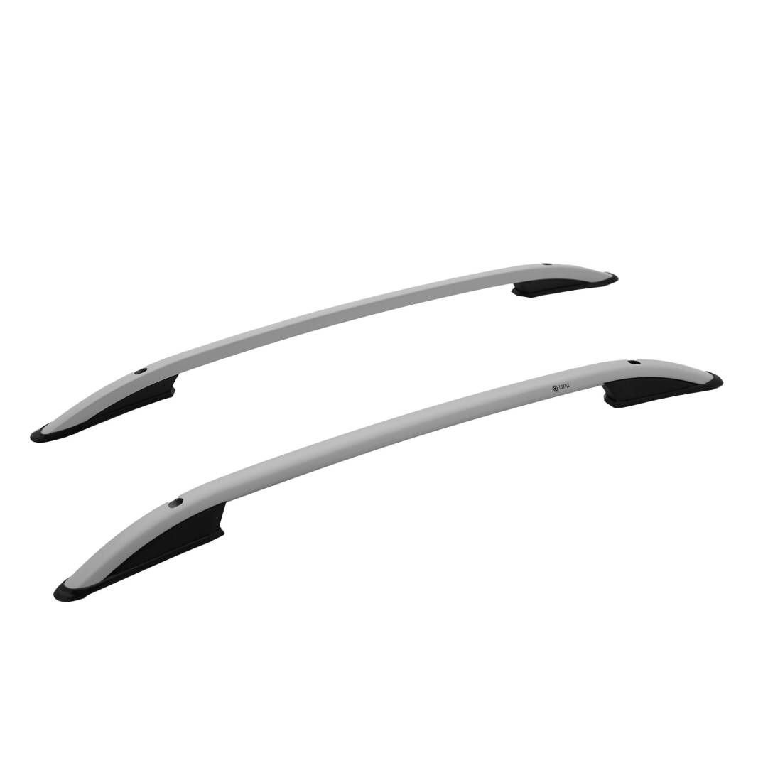 TURTLE Fits Dacia Sandero (Bs) 2007-2012 Roof Rail Crown Silver - 1