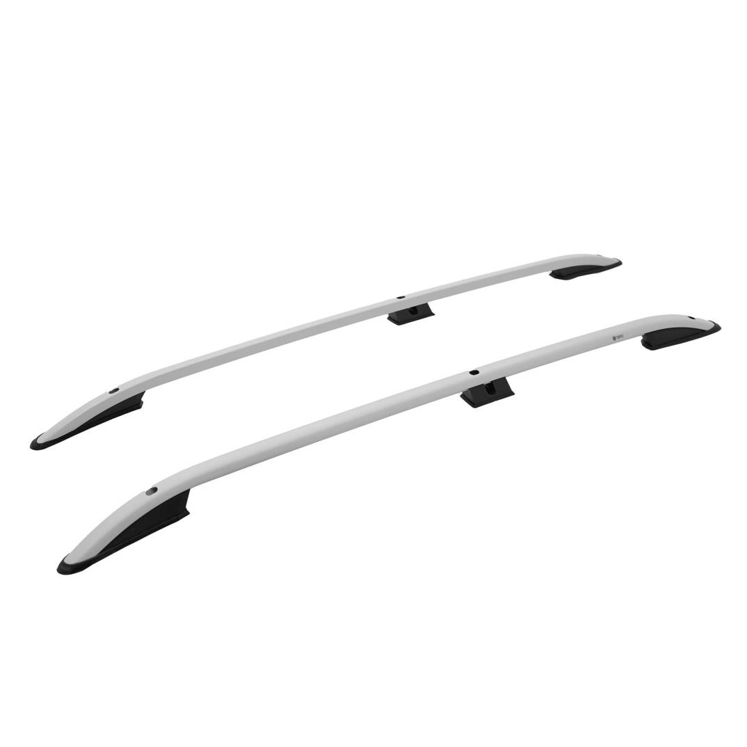 TURTLE Fits Fiat Qubo 2008-2017 Roof Rail Crown Silver - 1
