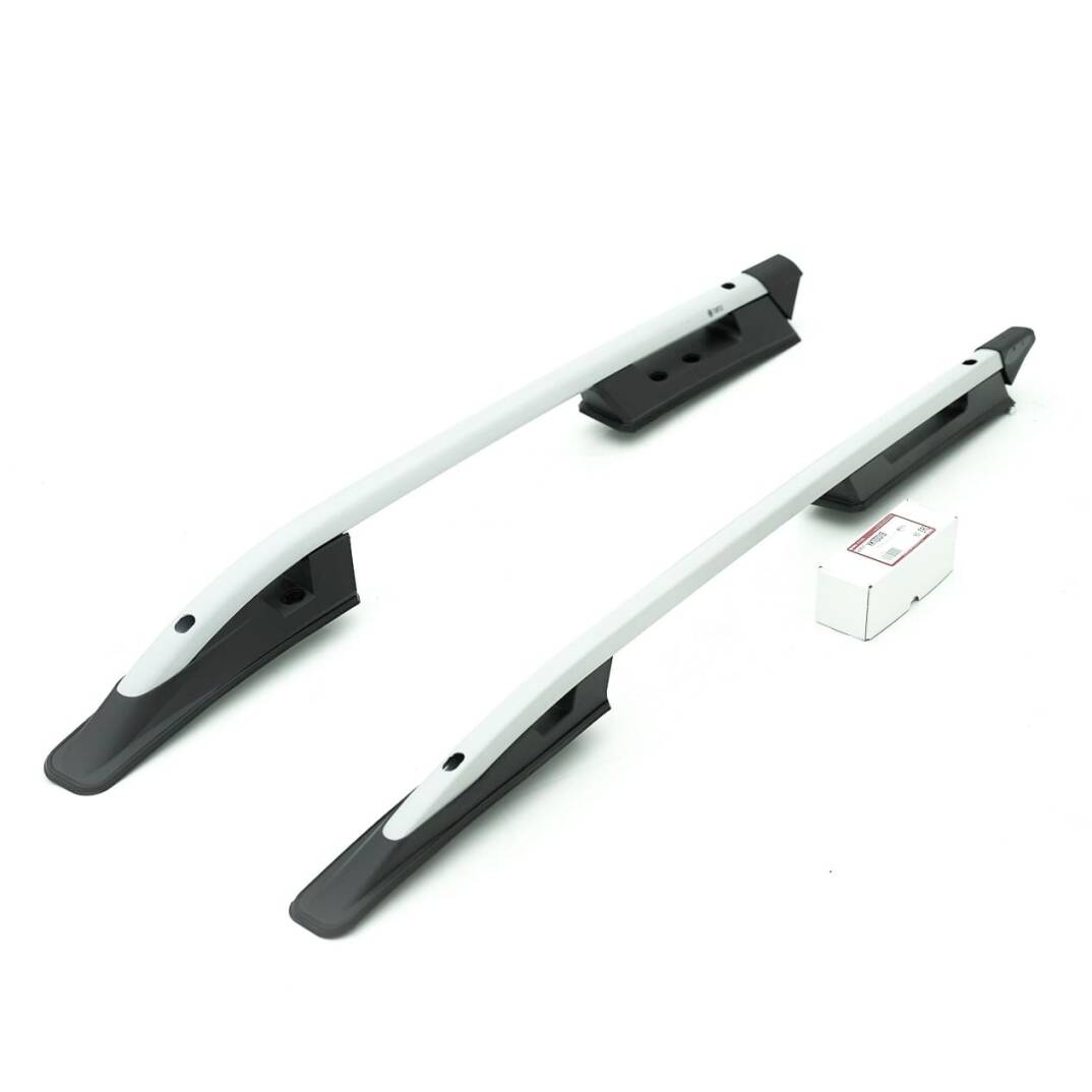 TURTLE Fits Isuzu D-Max (Rt85) 2016-2019 Roof Rail Falcon Silver - 2