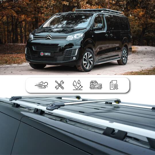 TURTLE Fits Peugeot 3008 (P84) 2017-2024 Roof Rail Crown Silver - 4
