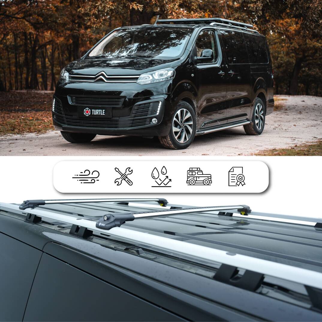 TURTLE Fits Peugeot 3008 (P84) 2017-2024 Roof Rail Crown Silver - 4